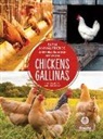 Amy Culliford - Gallinas (Chickens) Bilingual