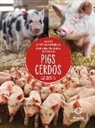 Amy Culliford - Cerdos (Pigs) Bilingual