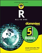 Schmuller, J Schmuller, Joseph Schmuller, Schmuller Joseph - R All-In-One for Dummies