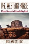 Randi Samuelson-Brown - Western Horse
