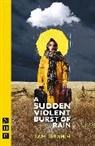 Sami Ibrahim, SAMI IBRAHIN - Sudden Violent Burst of Rain