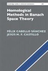 Felix (Universidad De Extremadura Cabello Sanchez, Félix Cabello Sánchez, Jesús M F Castillo, Jesús M. F. Castillo, Jesus M. F. (Universidad de Extremadura Castillo - Homological Methods in Banach Space Theory