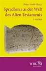 Holger Gzella - Sprachen aus der Welt des Alten Testaments