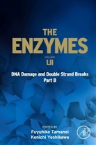 Fuyuhiko Tamanoi, Kenichi Yoshikawa - Dna Damage and Double Strand Breaks Part B