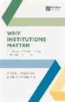 Vivien Lowndes, Lowndes Vivien, Mark Roberts, Roberts Mark - Why Institutions Matter