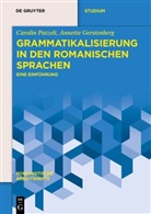 Annette Gerstenberg, Carolin Patzelt - Grammatikalisierung in den romanischen Sprachen