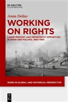 Anna Delius - Working on Rights