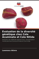 Lawrence Akinro - Évaluation de la diversité génétique chez Cola Acuminata et Cola Nitida