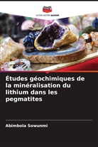 Abimbola Sowunmi - Études géochimiques de la minéralisation du lithium dans les pegmatites