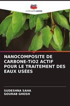 Gourab Ghosh, Sudeshna Saha - NANOCOMPOSITE DE CARBONE-TiO2 ACTIF POUR LE TRAITEMENT DES EAUX USÉES