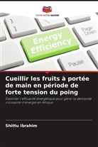 Shittu Ibrahim - Cueillir les fruits à portée de main en période de forte tension du poing