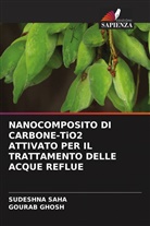 Gourab Ghosh, Sudeshna Saha - NANOCOMPOSITO DI CARBONE-TiO2 ATTIVATO PER IL TRATTAMENTO DELLE ACQUE REFLUE