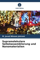 Liu Jui-Hsiang, M Javad Niknam Jahromi, M. Javad Niknam Jahromi - Supramolekulare Selbstassemblierung und Nanomaterialien