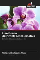 Wakawa Hyelladzira Musa - L'anatomia dell'intelligenza emotiva
