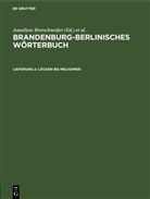 Anneliese Bretschneider, Gerhard Ising, Annemarie Wiese, Joachim Wiese, Teodolius Witkowski - Brandenburg-Berlinisches Wörterbuch. Brandenburg-Berlinisches Wörterbuch, III. Band - Lieferung 2: Löcken bis Melkeimer