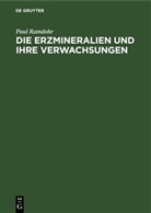 Paul Ramdohr - Die Erzmineralien und ihre Verwachsungen