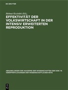 Helmut Koziolek - Effektivität der Volkswirtschaft in der intensiv erweiterten Reproduktion