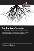 Himanshu Dawda - Radice trasformata