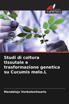 Mandaloju Venkateshwarlu - Studi di coltura tissutale e trasformazione genetica su Cucumis melo.L
