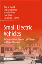 Mascha Brost, Mascha Brost et al, Huw Davies, Amelie Ewert, Stephan Schmid, Luc Vinckx - Small Electric Vehicles