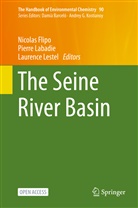 Nicolas Flipo, Pierre Labadie, Laurence Lestel - The Seine River Basin