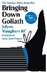 Jolyon Maugham - Bringing Down Goliath