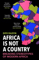 Dipo Faloyin - Africa Is Not A Country