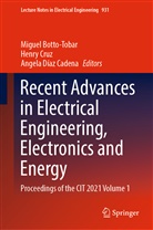 Miguel Botto-Tobar, Henry Cruz, Angela Díaz Cadena - Recent Advances in Electrical Engineering, Electronics and Energy