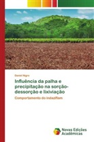 Daniel Nigro - Influência da palha e precipitação na sorção-dessorção e lixiviação