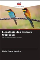 Melle Ekane Maurice - L'écologie des oiseaux tropicaux
