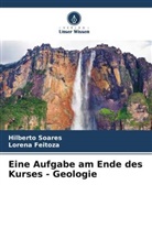 Lorena Feitoza, Hilberto Soares - Eine Aufgabe am Ende des Kurses - Geologie