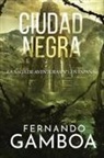 Fernando Gamboa - CIUDAD NEGRA
