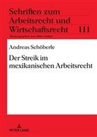 Andreas Schöberle - Der Streik im mexikanischen Arbeitsrecht