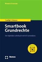 Alexander Gleixner, Emanuel V Towfigh, Emanuel V. Towfigh - Smartbook Grundrechte