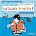 Bündnis für sicheres Reisen, Michael Wirbitzky, Sascha Zeus - Ausländisch für Notfälle, 2 Audio-CDs, 2 Audio-CD (Audio book)