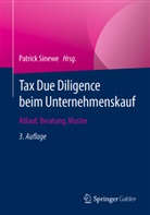 Patrick Sinewe - Tax Due Diligence beim Unternehmenskauf