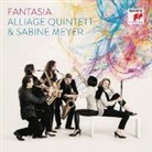 Fantasia, 1 Audio-CD (Audiolibro)