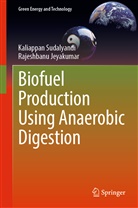 Rajesh Banu, Rajeshbanu Jeyakumar, S. Kaliappan, Kaliappan Sudalyandi - Biofuel Production Using Anaerobic Digestion