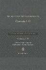 Brian R. Doak - The Preacher's Hebrew Companion to Genesis 1--11: A Selective Commentary for Meditation and Sermon Preparation