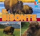 Maria Koran - El Bisonte (Bison)