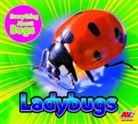 Aaron Carr - Ladybugs