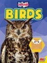 Katie Gillespie - Birds