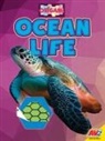 Katie Gillespie - Ocean Life