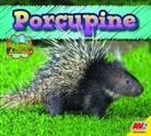 Heather Kissock - Porcupine