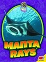 Judy Wearing - Manta Rays