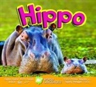 Aaron Carr - Hippo