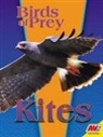 E Melanie Watt, E. Melanie Watt - Kites