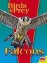 E Melanie Watt, E. Melanie Watt - Falcons
