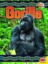 Steve McLeod - Gorilla