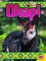 Jessica Coupé - Okapi